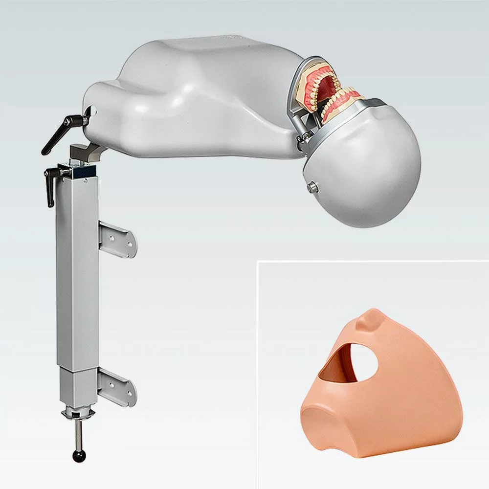 P-6/3 TL Стоматологический симулятор в сборе на кронштейне с подъемником