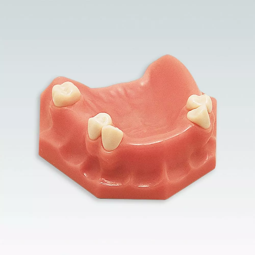 A-3 TOK 110 Стоматологическая модель верхней челюсти с частичным зубным рядом 7 5432 - 456