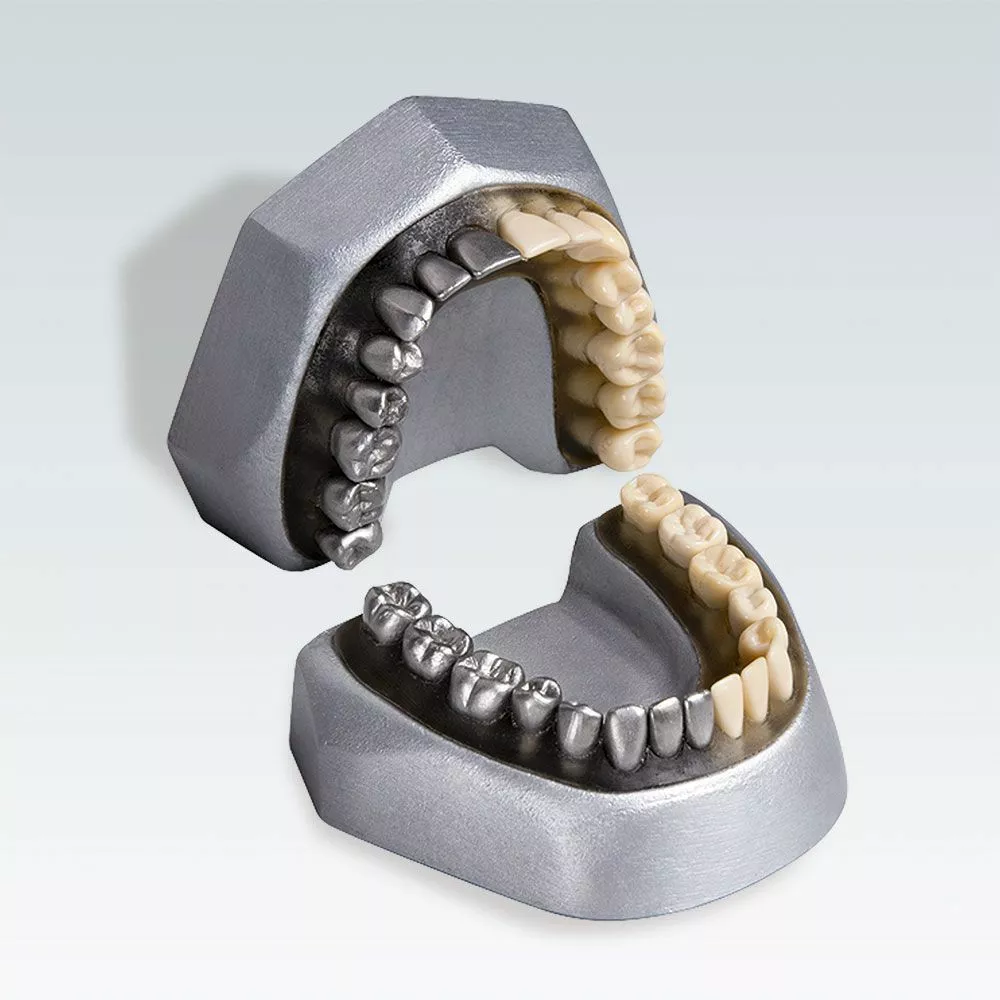 A-E MK Стоматологическая модель для удаления зубов из CrNi-сплава и дюропласта