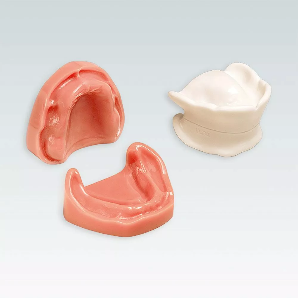 B-3 NH Стоматологическая модель верхней и нижней беззубой челюсти с нормальным прикусом без поднутрений