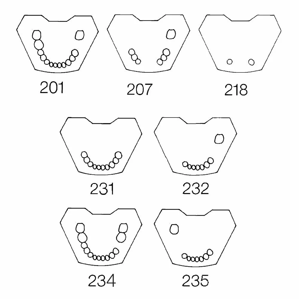 AN-4 TWUKV 234-Сменная упрощенная слизистая для нижней челюсти с неполным зубным рядом 7654321 - 1234 67
