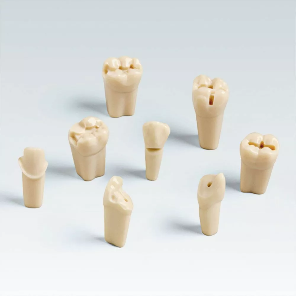 ANA-4  ZP .. Зубы для заранее подготовленные по стандартным шаблонам