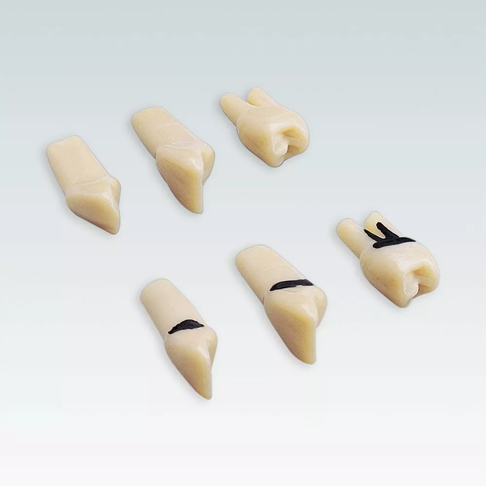 A-PZ ZC Набор 27 зубов с зубным камнем для A-PZ