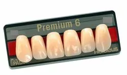 Зубы искуственные акриловые Premium 6 цвет В1 фасон O6 верх (0002) PR6B1О6