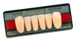 Зубы искуственные акриловые Premium 6 цвет В1 фасон L12 низ (0001) PR6B1L12