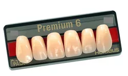Зубы искуственные акриловые Premium 6 цвет В1 фасон O4 верх (0003) PR6B1О4