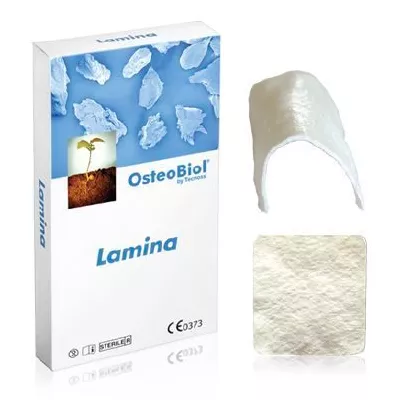 OsteoBiol Lamina Curved.  35x35 мм  0.9 мм.  Пластина гетерологичная кость. Конская