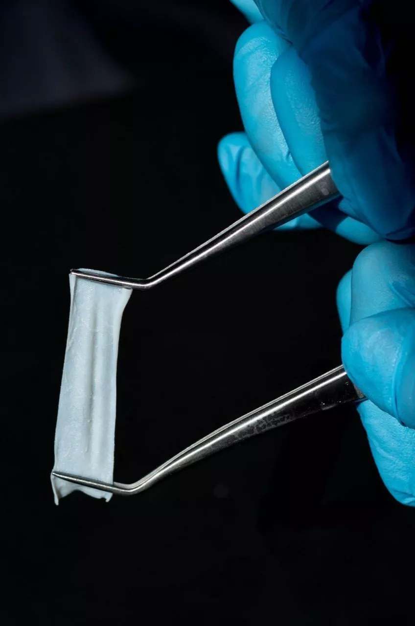 BioPlate Contur Membrane. Коллагеновая мембрана.   25x25 мм  0,3 мм