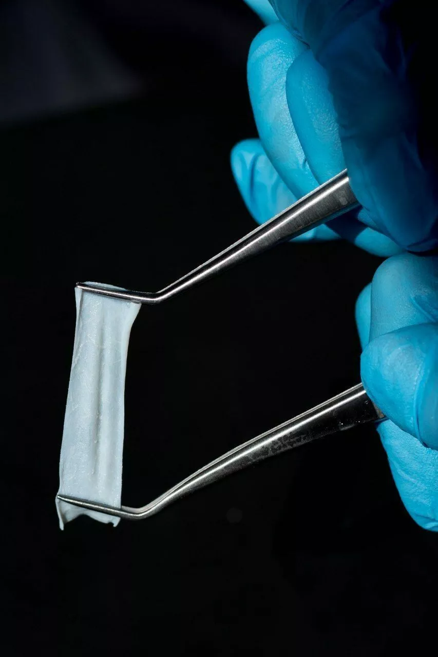 BioPlate Contur Membrane. Коллагеновая мембрана.   25x25 мм  0,3 мм