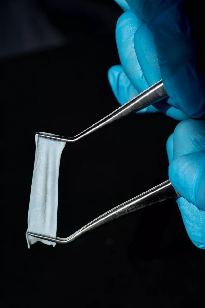 BioPlate Contur Membrane.  Коллагеновая мембрана.   15x20 мм  0,3 мм