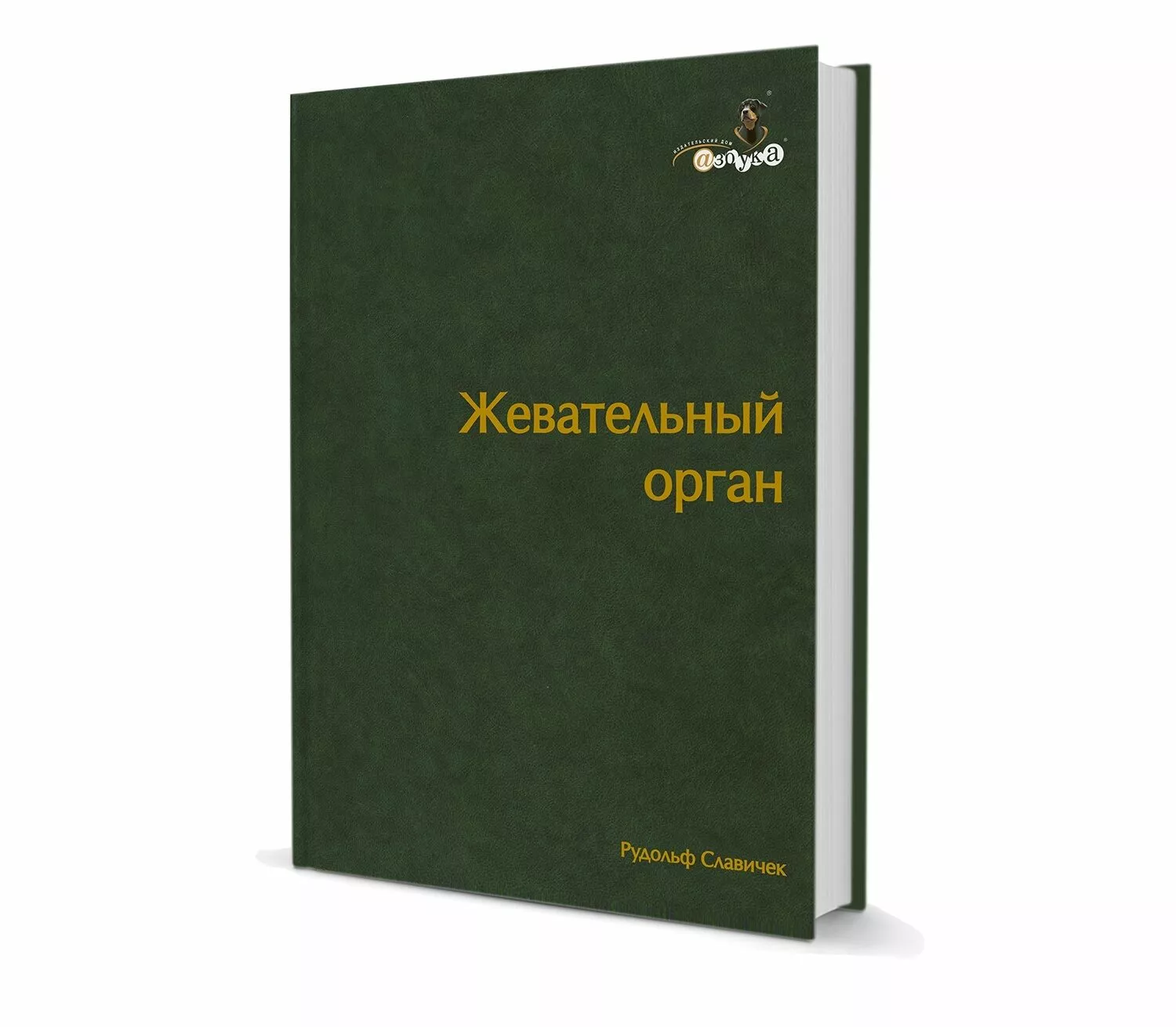 Жевательный Орган. Функции и дисфункции / Р. Славичек | bh.market -  Медицинский маркетплейс