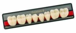 Зубы искуственные акриловые Premium 8 цвет В2 фасон M верх PR8B2M