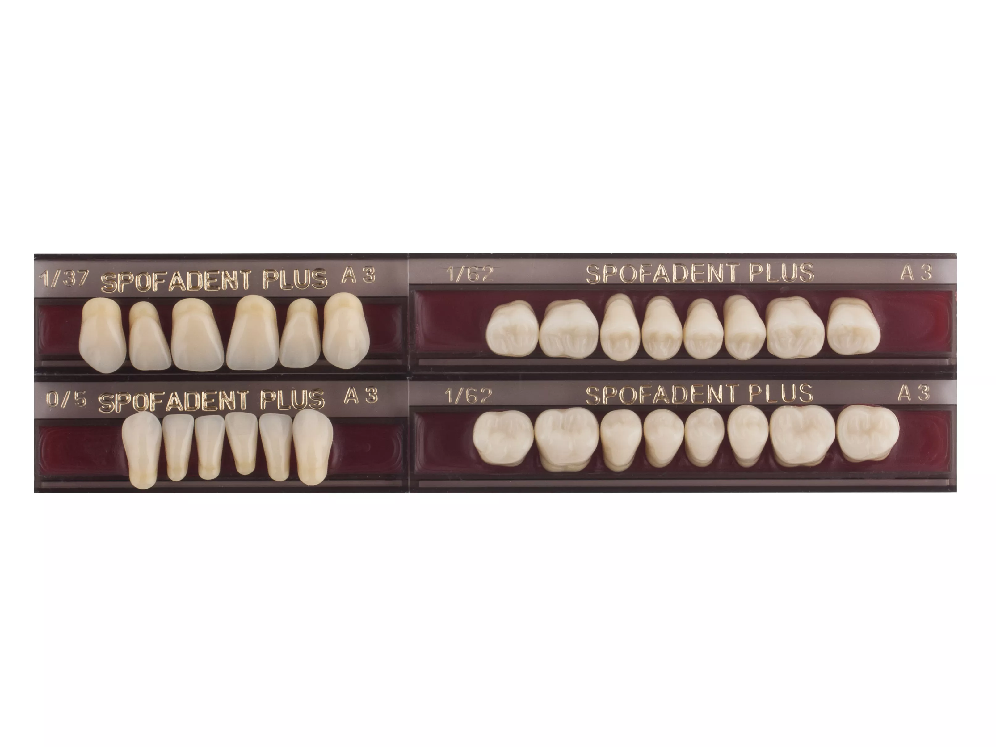 Spofadent Plus (А3) 1/37-0/5-1/62