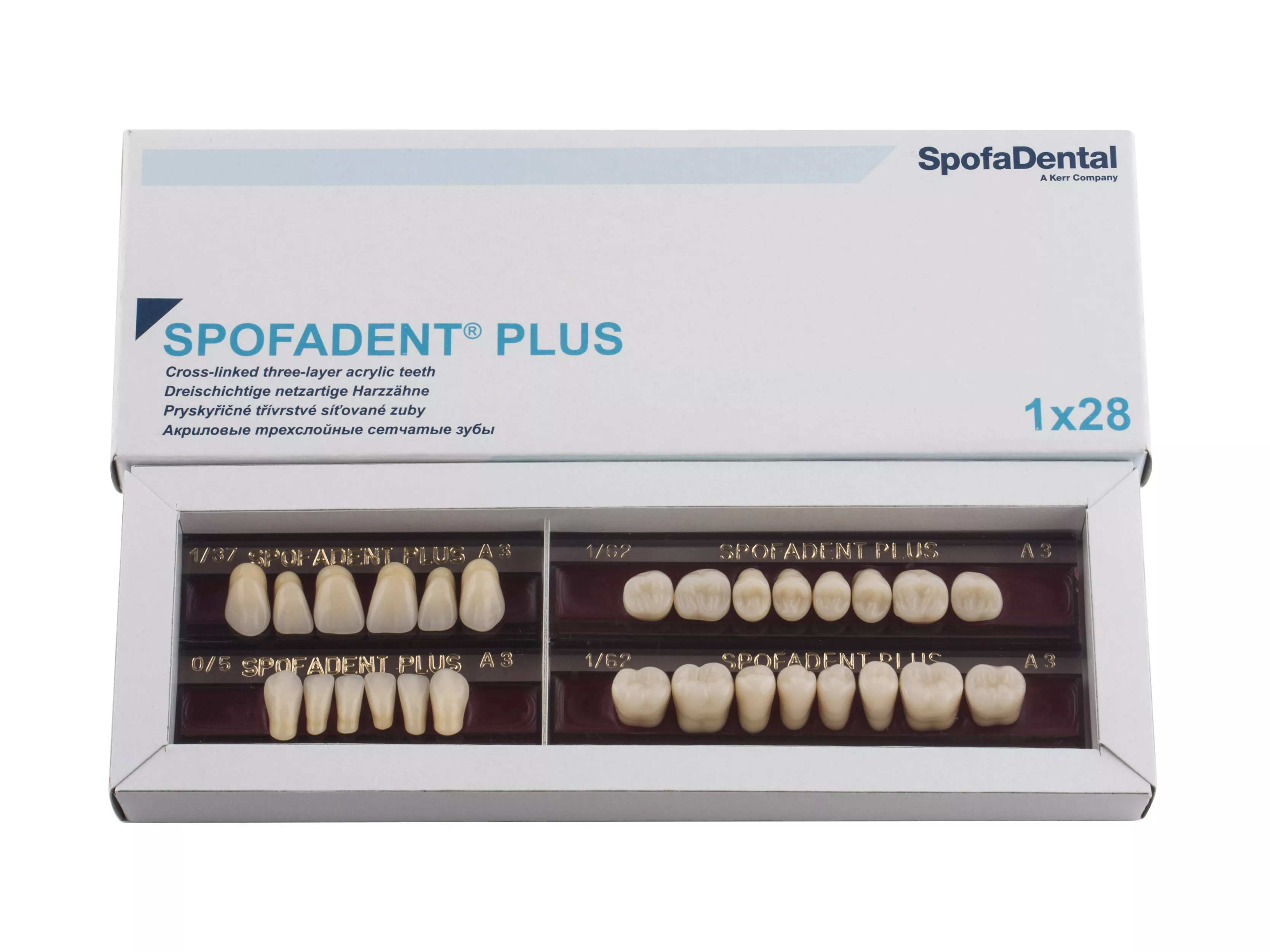 Spofadent Plus (А3) 1/37-0/5-1/62