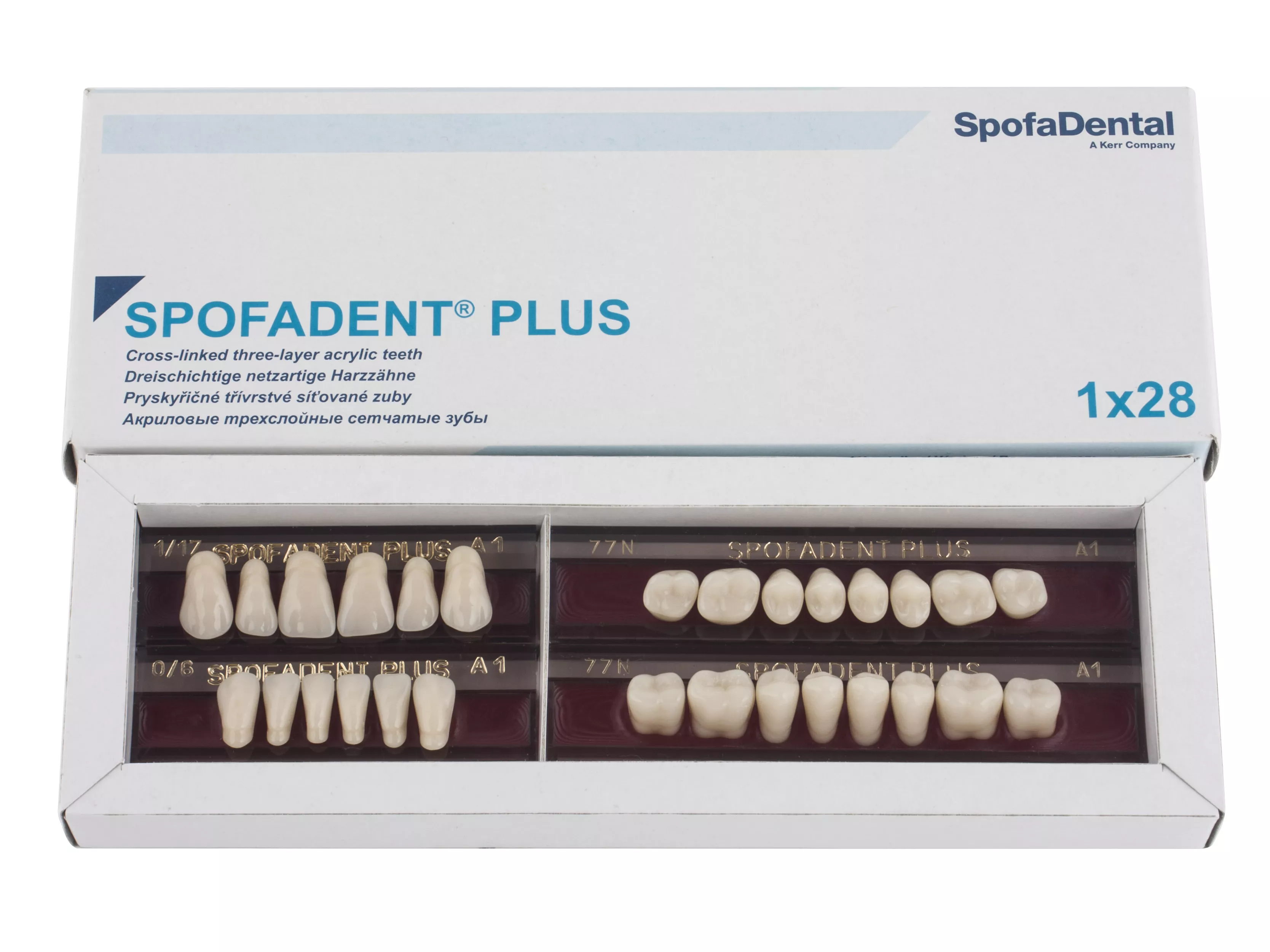 Spofadent Plus (А1) 1/17-0/6-77N