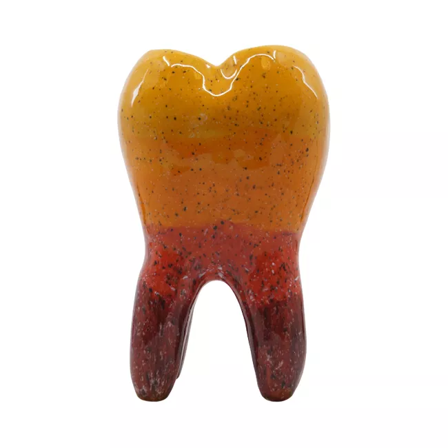 Декоративный зуб из керамики, большой, цветной