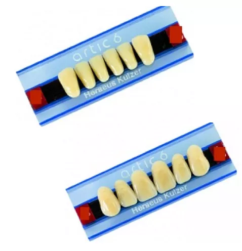Зубы Artic 6 цвет D3 фасон TO 40, шт
