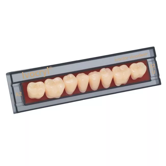 Зубы Ivocryl Набор из 8 зубов A-D жеват.низ. 32 C4
